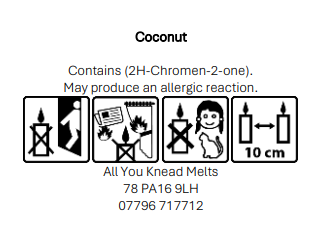 Coconut Squares