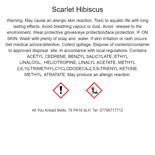 Scarlet Hibiscus Squares