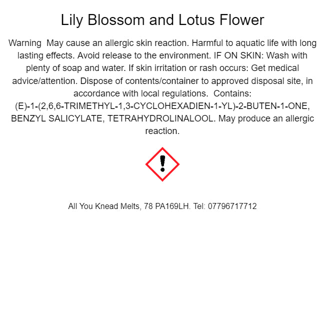 Lily Blossom and Lotus Flower (Inspired by JM)